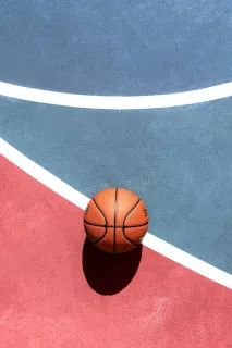 联合经营：物种起源：美国玉米商业育种流程