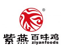 探寻华体会手机版背后的里尔赞助商之谜